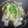 ☆ひつこママ☆☆'s cooksnap of when they made さんまの生姜煮☆こってり甘辛☆圧力鍋で.