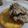 donuts★'s cooksnap of when they made ◎簡単絶品レバーペースト.