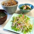 かっちゃん杉's cooksnap of when they made カニカマと水菜・玉ねぎの胡麻マヨサラダ.