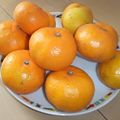 きらり流れ星's cooksnap of when they made 残念みかんが甘くなる 日向ぼっこみかん.