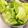やまにゃんぶんぶん's cooksnap of when they made 野菜の洗い方　虫が付いている場合.
