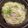 ふわふわわん's cooksnap of when they made 白菜のミルフィーユ鍋.