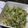 きのっぴぃ２号's cooksnap of when they made みょうがとかいわれ大根ときゅうりのサラダ.