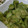 きのっぴぃ２号's cooksnap of when they made きゅうりのすだちごま和え.