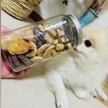 myacooking's cooksnap of when they made 簡単！基本のココアとプレーンのクッキー.