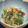 おこわだいすき※'s cooksnap of when they made おかひじきとツナのオイマヨ和え.