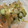vampsLOVE's cooksnap of when they made あさりと白菜のバター炒め.