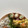 ♩pyon♩'s cooksnap of when they made 簡単おつまみ☆ちくわきゅうりのナムル風.