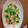 まさはぎ5963's cooksnap of when they made 海老と小松菜のあっさり炒め.