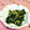 龍青空ママ's cooksnap of when they made 簡単！わかめのなめたけ和え.