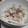 fu♪♪'s cooksnap of when they made 簡単！旨い！大根とハムのガリマヨサラダ♪.
