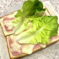 iemonuko's cooksnap of when they made 超お手軽クロックムッシュ.