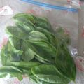 もこりこ's cooksnap of when they made バジルの保存.