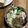 Ruriluru's cooksnap of when they made 千切りハムと千切り胡瓜のサラダ.
