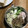 Ruriluru's cooksnap of when they made くっつかない！長さも一緒のハムの千切り.