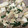 クックDFI5G9☆'s cooksnap of when they made 豆腐と挽肉の簡単炒め.
