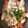 クックSTA89H☆'s cooksnap of when they made いさきとあさりの簡単アクアパッツァ☆.
