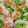 ぱにぱる's cooksnap of when they made エビの生春巻き.