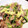 クックE662AA☆'s cooksnap of when they made 簡単で美味しい豚こまといんげんの玉子炒め.