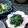 かおりかざり's cooksnap of when they made わさび菜とワカメのごま油サラダ⁂.
