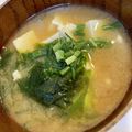 yu🐓's cooksnap of when they made 豆腐とほうれん草のお味噌汁.