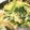 ちび☆あず's cooksnap of when they made ほうれん草と玉ねぎのチーズオムレツ.