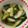 ぷるぷるプリン☆'s cooksnap of when they made 分量簡単！大根やカブで甘酢漬け♡.