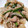 cotton777's cooksnap of when they made シャキうま！豚トロのニラもやし塩だれ炒め.