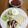 Ruriluru's cooksnap of when they made 【簡単】レンジで作る目玉焼き.
