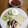 Ruriluru's cooksnap of when they made 【簡単】レンジで作る目玉焼き.