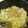 toshio39's cooksnap of when they made 白菜とアサリの酒蒸し.