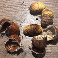 Yokchina's cooksnap of when they made レンジで簡単☆ツルッと栗の皮むき.