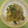 ピーナッツ子♪'s cooksnap of when they made ツナと玉ねぎの白だし和風パスタ.