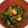 クックTU0TQN☆'s cooksnap of when they made レンバイのおばさんに教わったケールみそ汁.