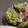 みきんどる's cooksnap of when they made アボカドのクリームチーズと柚子胡椒和え.