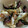 RiーKoo's cooksnap of when they made ＊お昼のねこまんま：塩鯖のしば漬け丼.
