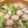 野比のびえ's cooksnap of when they made ★肉団子の春雨スープ★.