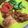 クックHDP0M2☆'s cooksnap of when they made サクサク美味い！サーモンフライ.