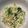 ぷーさん's cooksnap of when they made 豆もやしとパクチーのエスニックナムル.