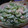 myukitty's cooksnap of when they made ゴーヤの胡麻マヨ和え.