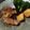 クックNN1BQ8☆'s cooksnap of when they made 柔らか＆旨い！定番【トンテキ】.