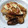 焼きたてりんごパイ's cooksnap of when they made 我が家の基本の照り焼きソース.