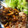 もっちっち。's cooksnap of when they made きのこと玉ねぎの和風ソースハンバーグ.