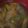 ヨシヨッシー's cooksnap of when they made ねぎとわかめの中華スープ.
