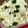 クックM96XDX☆'s cooksnap of when they made ♡里芋ほくほくチーズ焼き♡.