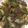 クック2H9MD0☆'s cooksnap of when they made ＊ネギレバ炒め＊.