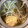 ☆ドキンちゃん☆”'s cooksnap of when they made もやしとわかめの中華スープ.
