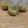 ポメちょん's cooksnap of when they made さつまいもの茶巾しぼり.