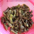 シャープ's cooksnap of when they made 黒枝豆(枝豆)の茹で方・最高の塩加減♪♪.
