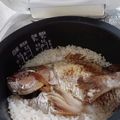 はっこちゃん✌'s cooksnap of when they made 魚・鯛めし♪炊飯器で！簡単鯛炊き込みご飯.